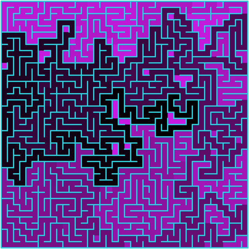 Rectangular maze